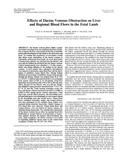 Effects of Ductus Venosus Obstruction on Liver and Regional Blood