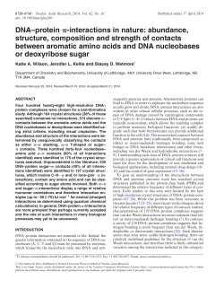DNA&ndash;protein -interactions in nature: abundance