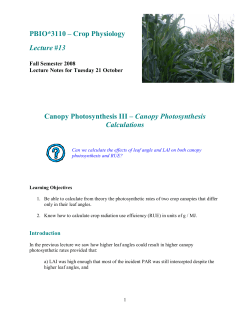 Canopy Photosynthesis III