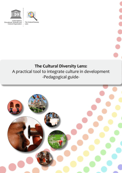The Cultural Diversity Lens