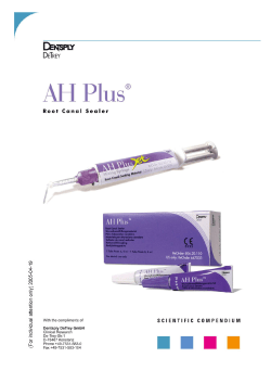 AH Plus - Dentsply