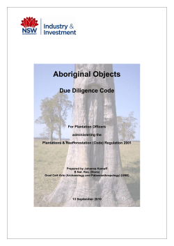 Aboriginal Objects Due Diligence Code