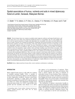 Spatial associations of humus, nutrients and soils in mixed