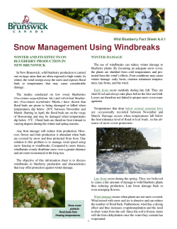 Snow Management Using Windbreaks