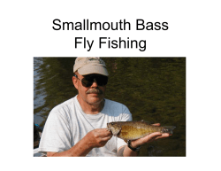 Fly Fishing for Smallmouth Bass
