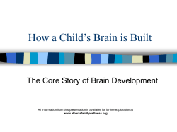 The Core Story of Brain Development