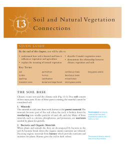Soil and Natural Vegetation Connections