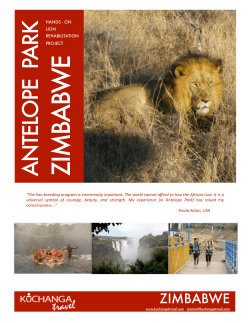 Kuchanga Travel Antelope Park Lion Rehab Zimbabwe
