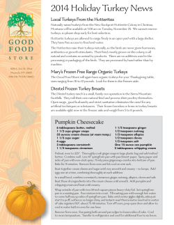 2014 Holiday Turkey News