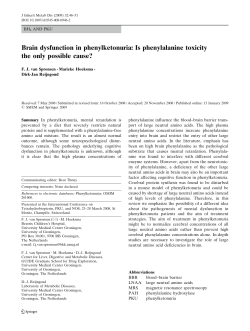 Brain dysfunction in phenylketonuria: Is