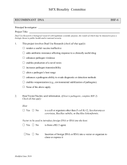 BSF-6 Recombinant DNA