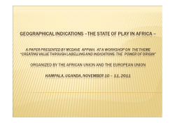GEOGRAPHICAL INDICATIONS &ndash;THE STATE OF PLAY IN AFRICA