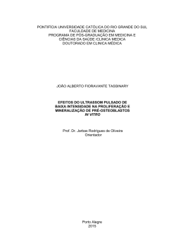 PONTIF&Iacute;CIA UNIVERSIDADE CAT&Oacute;LICA DO RIO GRANDE DO SUL