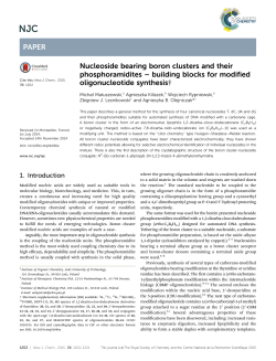 Nucleoside bearing boron clusters and their phosphoramidites