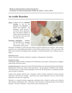 An Acidic Reaction - Minerals Education Coalition