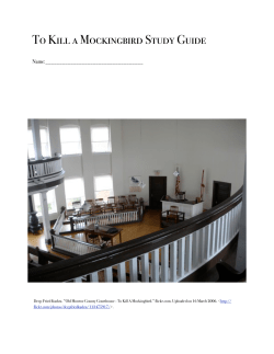 707-0102-To Kill a Mockingbird Study Guide