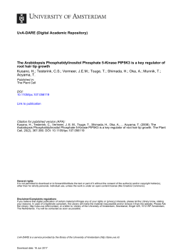 The Arabidopsis Phosphatidylinositol Phosphate 5