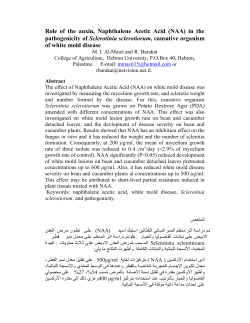 Role of the auxin, Naphthalene Acetic Acid (NAA) in the