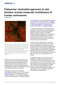 Flatworms` minimalist approach to cell division reveals