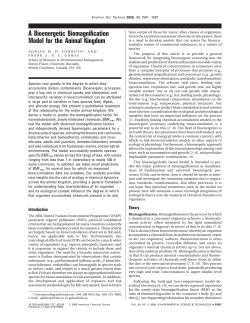 A Bioenergetic Biomagnification Model for the Animal Kingdom