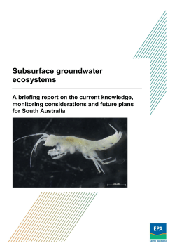 Subsurface groundwater ecosystems