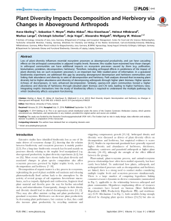 Plant Diversity Impacts Decomposition and Herbivory via
