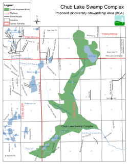 Chub Lake Swamp Complex