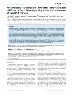 Mitochondrial Transcription Terminator Family Members