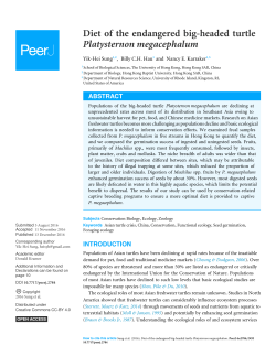 Diet of the endangered big-headed turtle Platysternon
