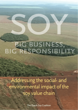 Soy &ndash; big business, big responsibility