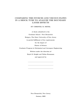 COMPARING THE INVISCID AND VISCOUS FLOWS IN A SHOCK