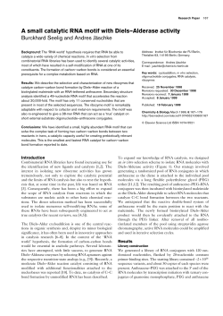A small catalytic RNA motif with Diels&ndash;Alderase activity
