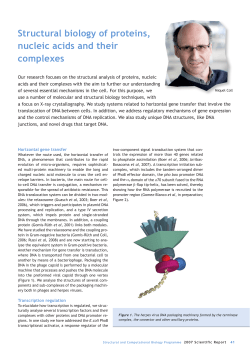 Coll Group Scientific Report 2007