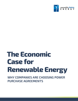 The Economic Case for Renewable Energy