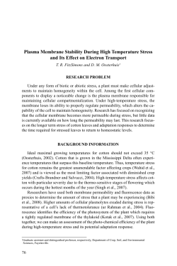 Plasma Membrane Stability During High Temperature Stress and Its