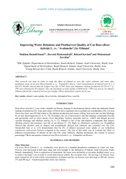 Improving Water Relations and Postharvest Quality of Cut Rose