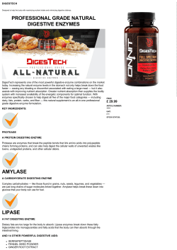 professional grade natural digestive enzymes amylase lipase