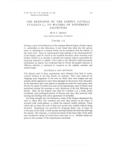 the response of the limpet, pa tella vulgata l., to waters of