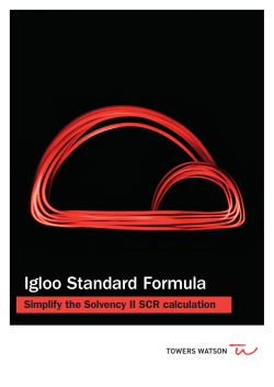 Igloo Standard Formula