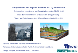 PDF, 4.6 MB - DIW Berlin