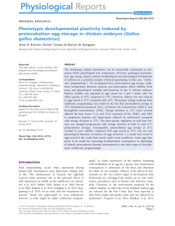 Phenotypic developmental plasticity induced by preincubation egg