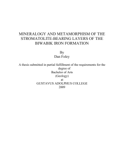mineraology and metamorphism of the stromatolite bearing layers of