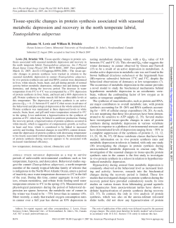 Tissue-specific changes in protein synthesis associated