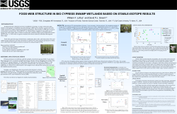 FOOD-WEB STRUCTURE IN BIG CYPRESS SWAMP WETLANDS
