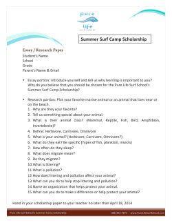 Summer Surf Camp Scholarship