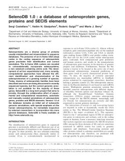 SelenoDB 1.0 : a database of selenoprotein genes, proteins and