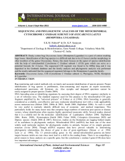 sequencing and phylogenetic analysis of the mitochondrial