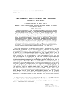 Elastic Properties of Single Titin Molecules Made Visible through