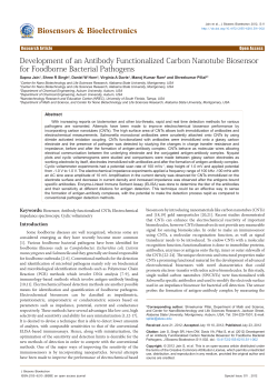 Development of an Antibody Functionalized Carbon Nanotube