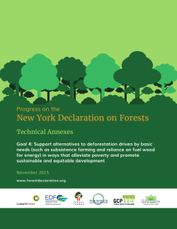 Goal 4 - New York Declaration on Forests